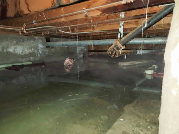 Best Residential water damage restoration  in Sanger, CA