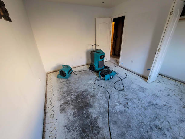 Best 24-hour water damage restoration  in Sanger, CA