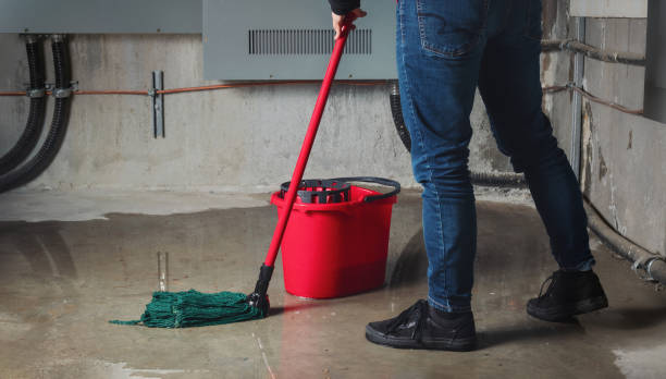 Best Ceiling water damage repair  in Sanger, CA