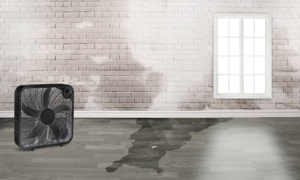 Best Water damage restoration process  in Sanger, CA